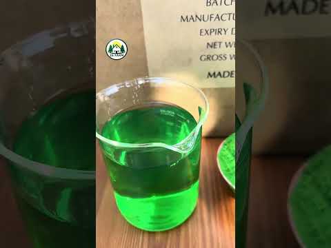 Video rong biển – Kích Rễ