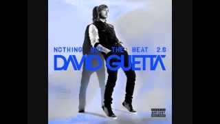 Sunshine - David Guetta & Avicii (Audio)