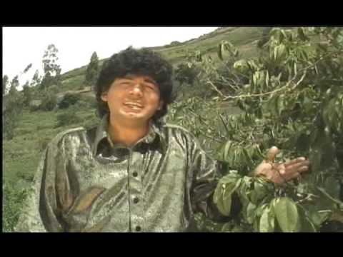 CESAR TORRES TRUJILLO - Paloma Blanca