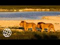 Etosha National Park, Namibia  [Amazing Places 4K]
