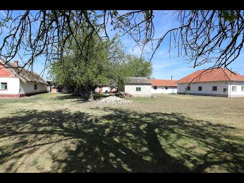 Eladó gazdasági ingatlan, Balástya 4 szoba 134 m² 159 M Ft