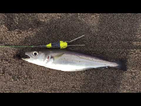 European open beach  championships 2019 practice season