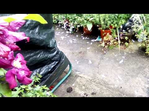 Sometimes nature can be so cruel