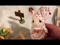 Sylvanian Families Iškylos rinkinys su mažąja drambliuke