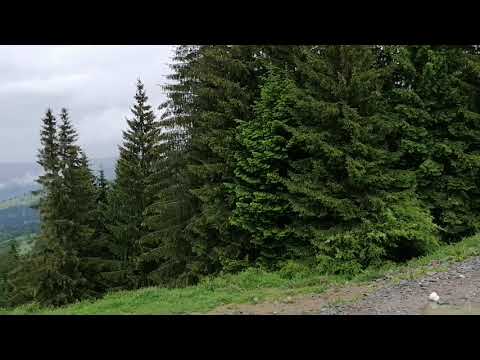 Ceahlău, axial  Izvorul Muntelui-Durău