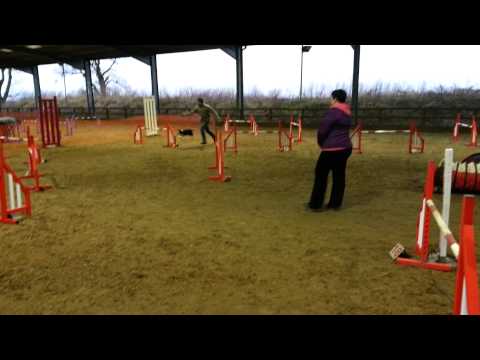 Neila-dogs first full height show :)))