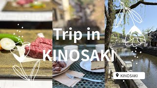 【城崎旅行VLOG】まったり温泉旅行♨️城崎温泉街|余部鉄橋|出石そば