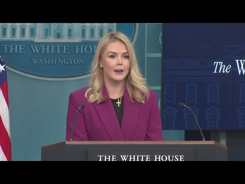 White House Press Secretary Karoline Leavitt announces pregnancy
