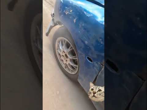 Sprawdzanie sprzęgła #nauka #technika #fizyka