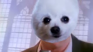 Cover art for Never gonna Bork you up