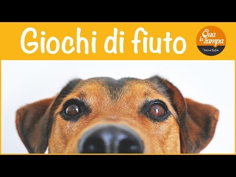 7 settimane di gravidanza mal di stomaco e parte bassa della schiena Kuznetsov Applicatore per articolazione della spalla dolore
