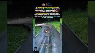 Download lagu Dia menghentikan perjalanannya untuk seekor anak rusa. mp3