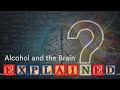 Alcohol And The Brain Explained