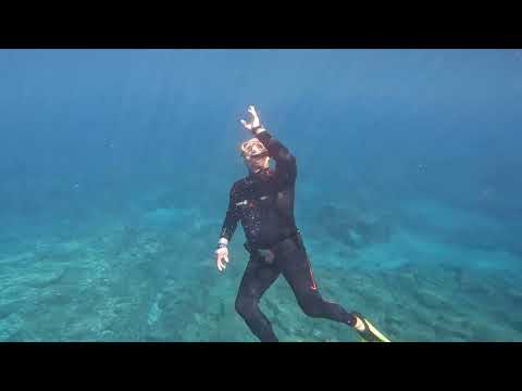 Vidéo plongée Tenerife