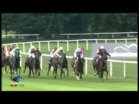 Lucky Lion - Grosser Dallmayr-Preis - Bayerisches Zuchtrennen 2014 G1