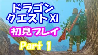 【初見プレイ】いざ！ドラクエの世界へPart1
