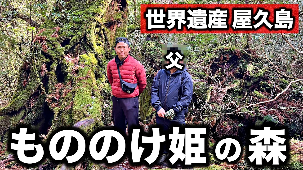【屋久島】もののけ姫の森を実際に歩いてみたら…