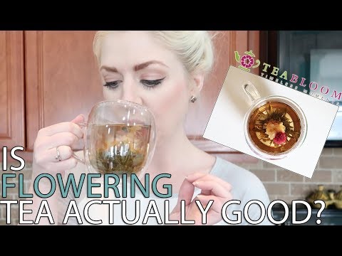 download lagu mp3 mp4 Abloom Tea Review, download lagu Abloom Tea Review gratis, unduh video klip Abloom Tea Review