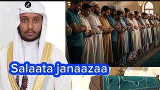 Download lagu Salaata janaazaa akkamiti salaattu dhamsa jabbaa sheikh Umaar faruuq  mp3