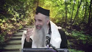 קצרים-הרב מאיר דוד שמואלי - בעולם הבא רק אמת אין פוליטיקה