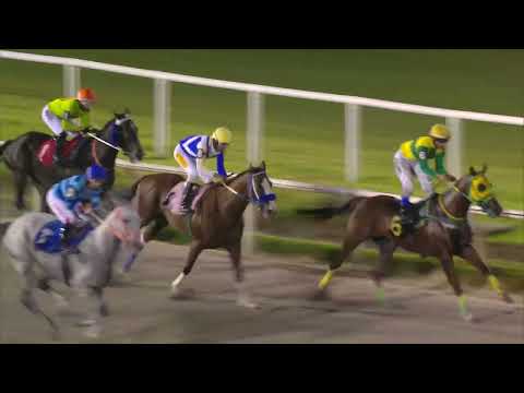 230226 c12 EL SULTAN