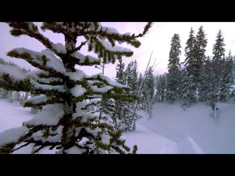 Blusoul feat. Amber Long - The Future Is Yours (Poison Pro Deep Space Radio Dub)