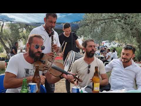 Kemancı Harun ve Ekibi - Gül Ali / Keskin Bıçak (4K)