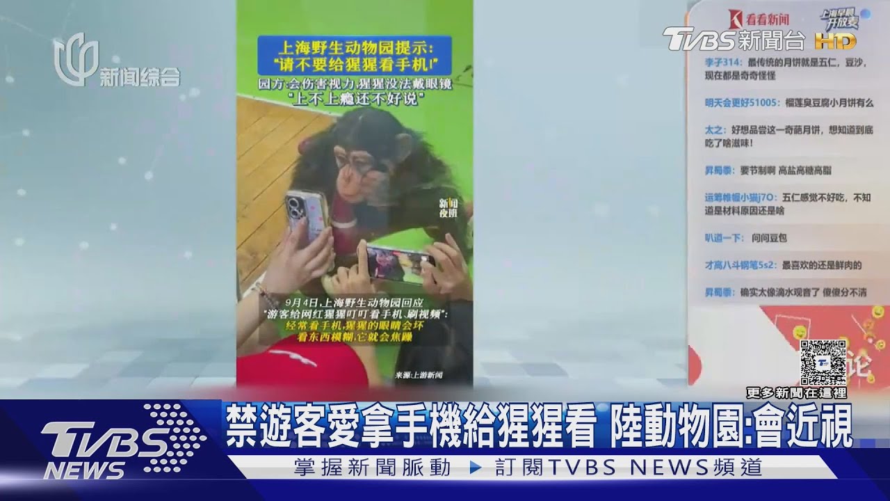 禁遊客愛「拿手機給猩猩看」 大陸動物園:會近視