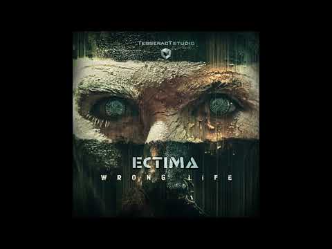 Ectima (Zyce & Flegma) - Wrong Life