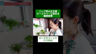 🌿ハーブ界の女王様 ローズマリーと始める健康習慣🌿#shorts #ハーブ #体質改善 #ローズマリー