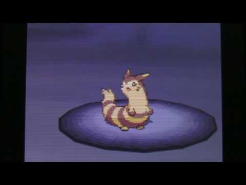 Pokémon Black (Nuzlocke) Ep 58 The Ultimate Challenge