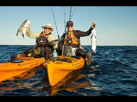 Shark Attack - Shark Rips Fish from Kayaker's Hand