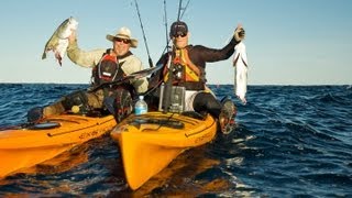 Shark Attack - Shark Rips Fish from Kayaker's Hand