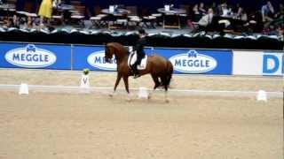 Video von Don Androsso