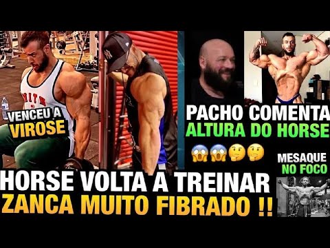 ZANCA MUITO SECO - HORSE VOLTA A TREINAR APÓS VIROSE - PACHO COMENTA SOBRE ALTURA DO HORSE