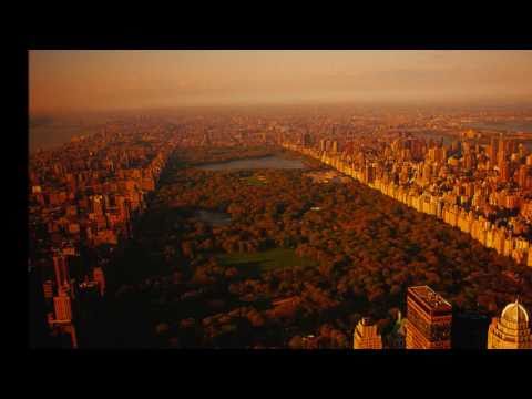 When I Fall In Love video