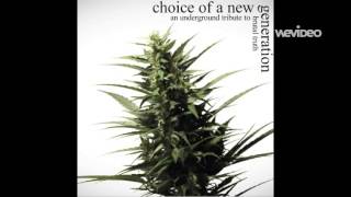 CHAPEL OF GRISTLE - Collapse (Brutal Truth tribute)