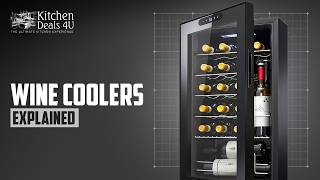 Wine Refrigerators EXPLAINED 🍷 | How to Choose the PERFECT W