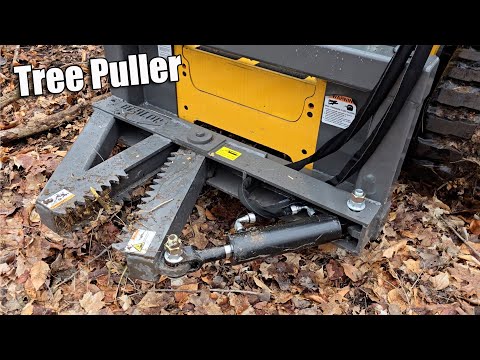 Better than a Chainsaw for Some Trees! Berlon Skid Steer Tree Puller Review Taking down 40 Foot Tree