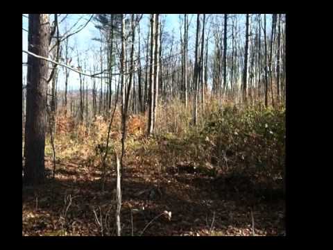 VT Route 132 Strafford VT