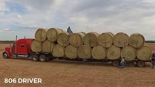 806 Driver, Hay Day, Loading and Hauling Round Bale Hay, Stepdeck Action, Trucker Vlog, POV