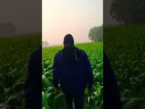 #carstuntracing blox fruits trading, trading, reading, Rading #indianactor #indiansinger