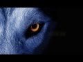 David Guetta ft. Sia - She Wolf Instrumental ...