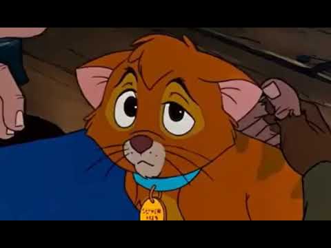 The Feline King (Universal Movie Spoofs Style) Part 9 - The Greatest Kings of the Past