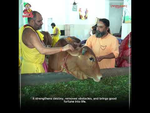 About Krishnayan Video Thumbnail