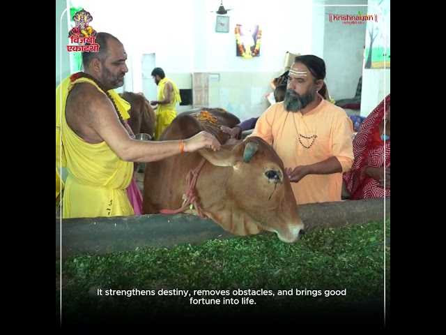 About Krishnayan Video Thumbnail