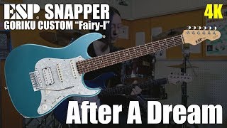Video thumbnail for 【4K】After A Dream - MAMORU GORIKU(with ESP SNAPPER GORIKU CUSTOM "Fairy-I") by Mamoru Goriku