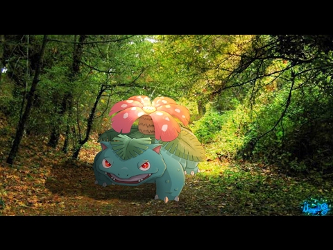 Speedpaint - Venusaur ( Solar Beam / Güneş Işını )