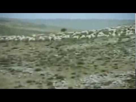 download lagu mp3 mp4 El Hombre Y La Tierra Mp3, download lagu El Hombre Y La Tierra Mp3 gratis, unduh video klip El Hombre Y La Tierra Mp3