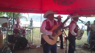 Los Viejones de Linares  Paso del Norte